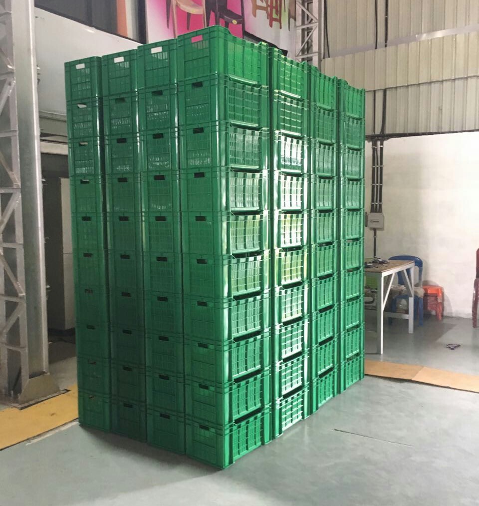 Plastic Pallets